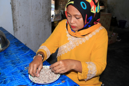 IKAN UNTUK LALAMPA
