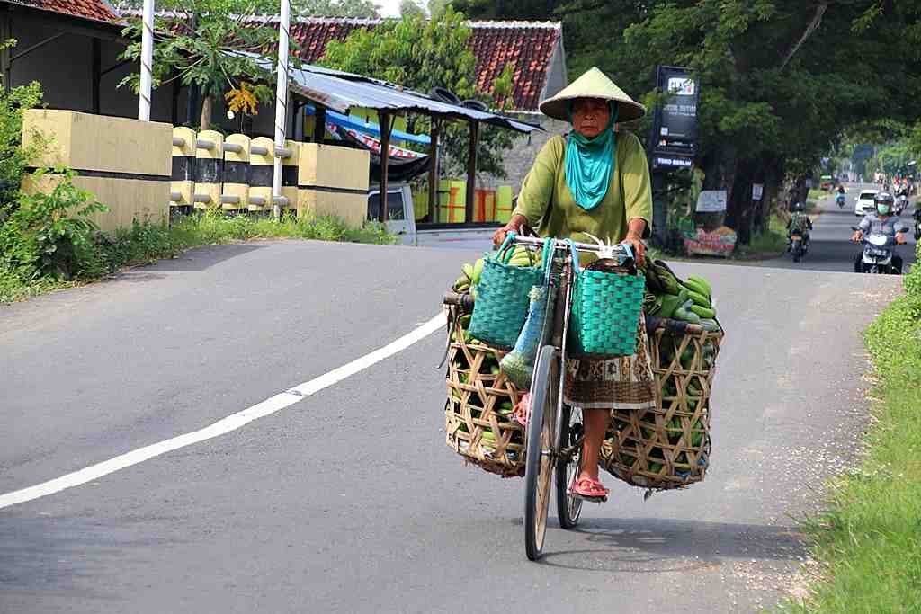 JUAL HASIL KEBUN