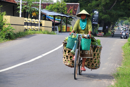 JUAL HASIL KEBUN
