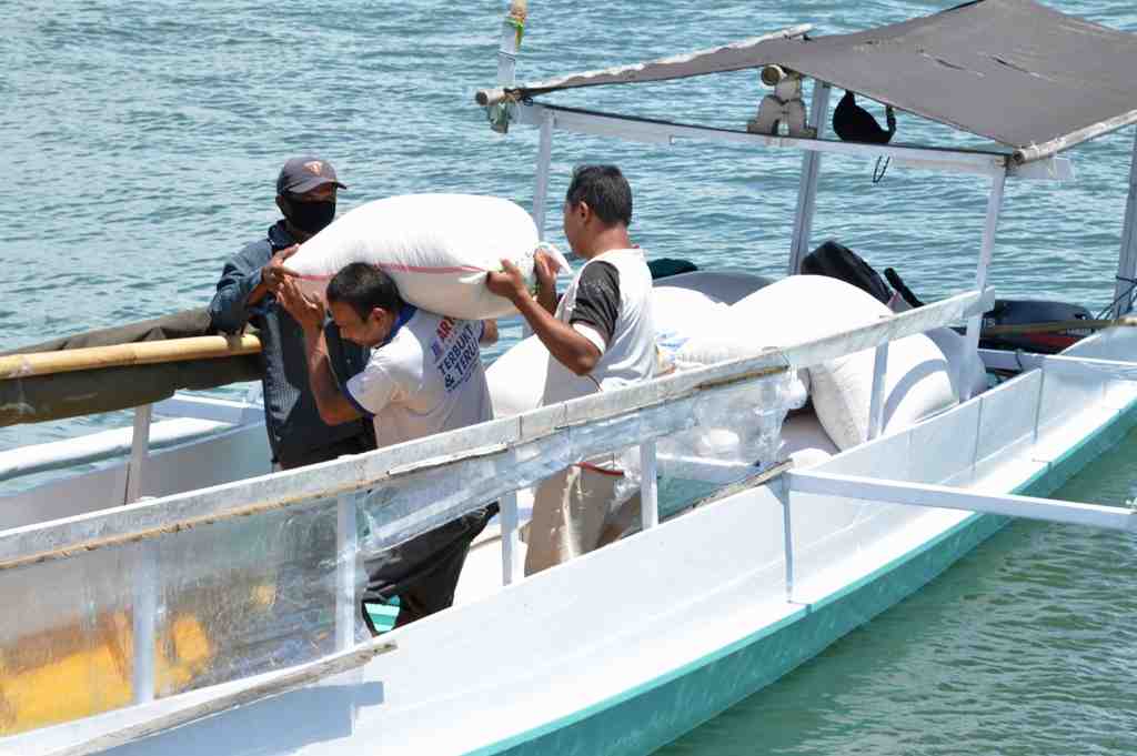 JAGUNG PULAU PONELO