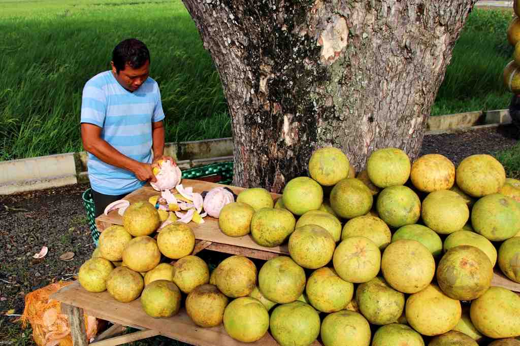 KUPAS JERUK PAMELO