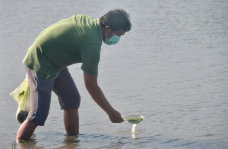 LUMUT SAWAH UNTUK MEMANCING