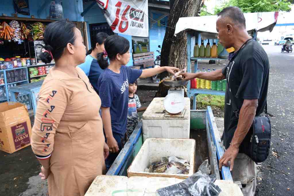 MENIMBANG KEPITING RAJUNGAN