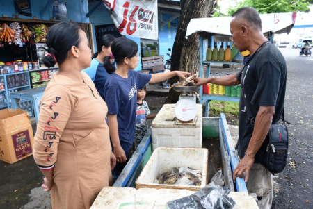 MENIMBANG KEPITING RAJUNGAN