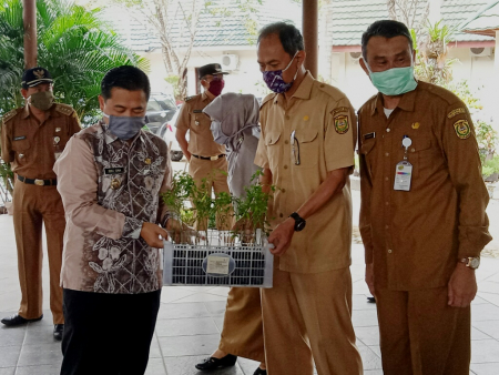 BAGIKAN BIBIT CABAI