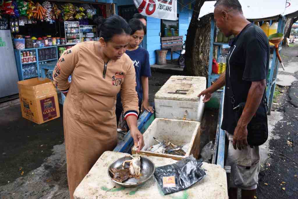 MEMILIH KEPITING RAJUNGAN