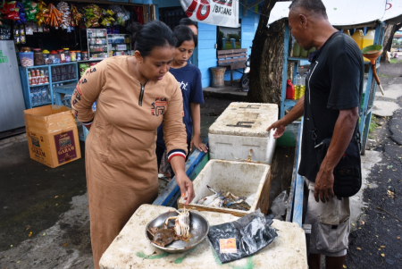 MEMILIH KEPITING RAJUNGAN