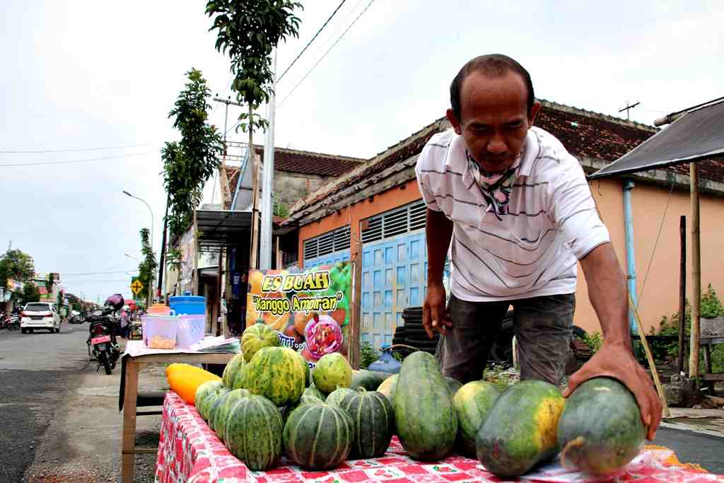 MENATA BUAH