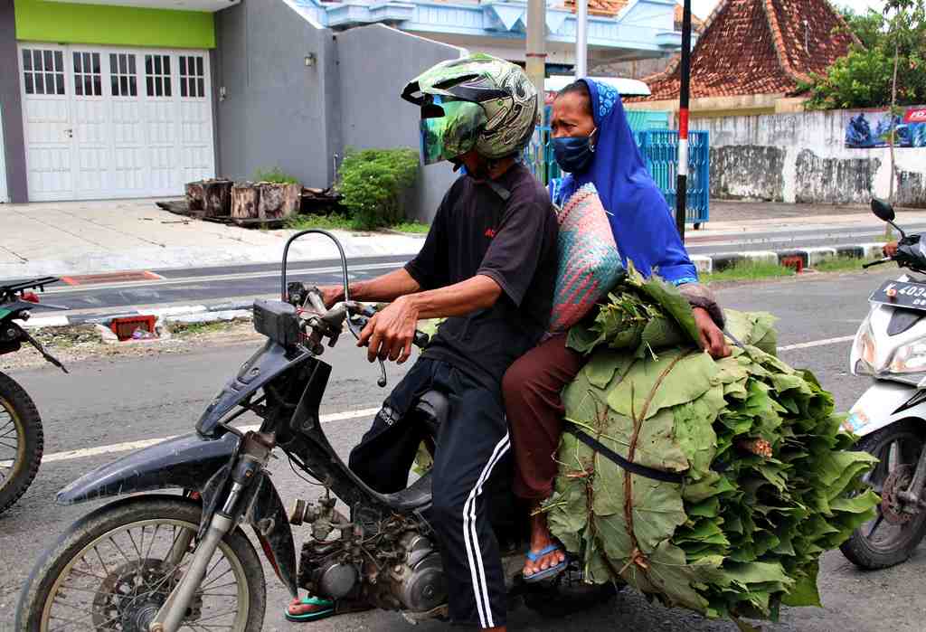 PENJUAL DAUN JATI
