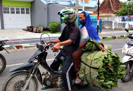 PENJUAL DAUN JATI