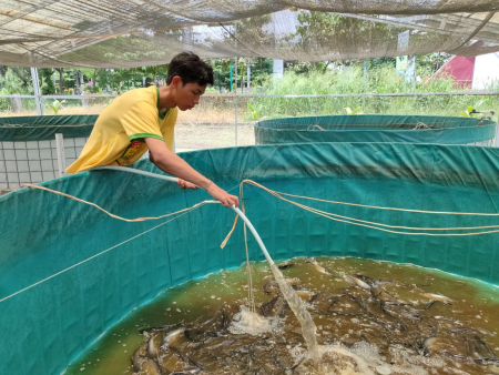 ISI AIR KOLAM BIOFLOK