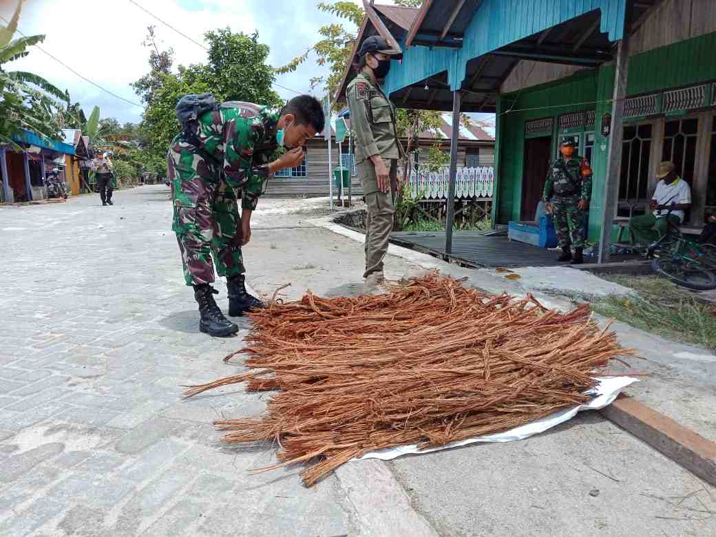 BAJAKAH LUPUN