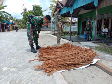BAJAKAH LUPUN
