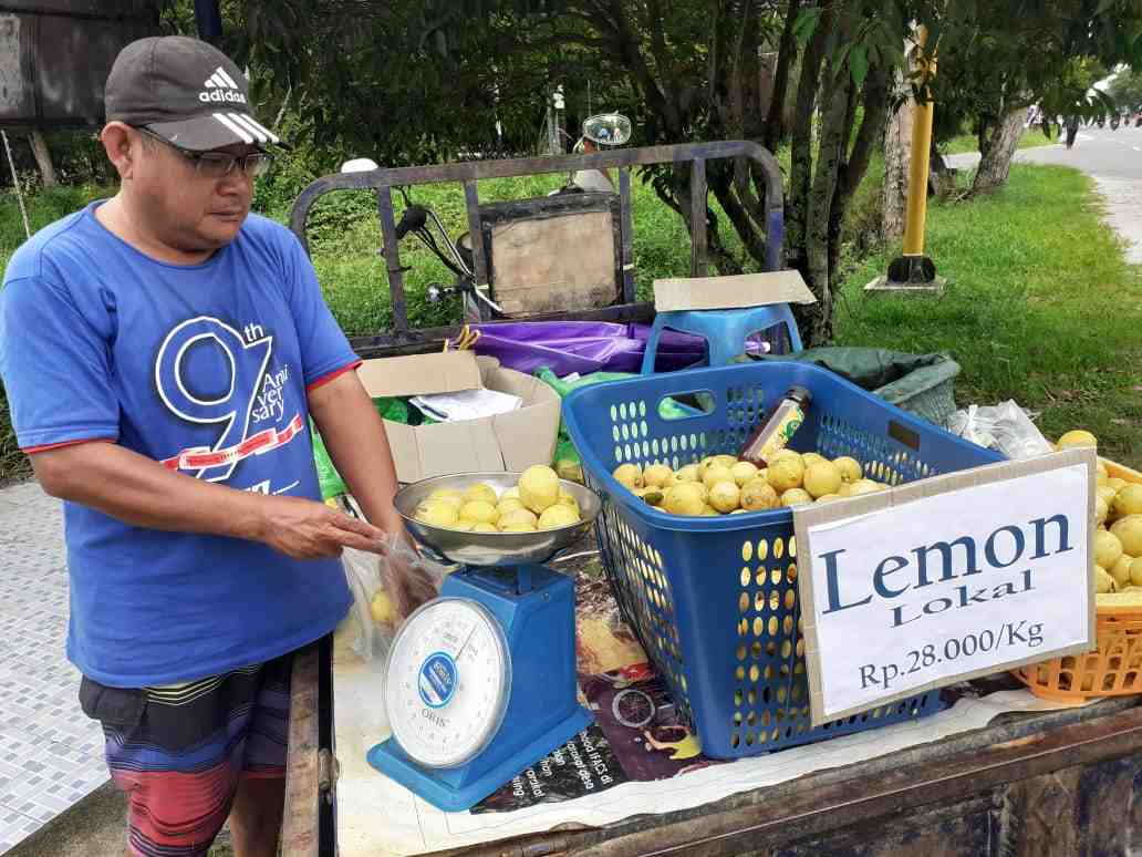 LEMON LOKAL