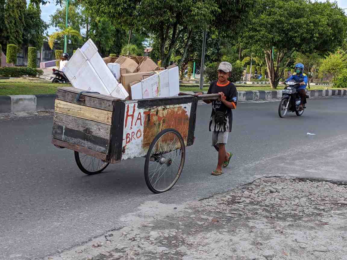 PENGUMPUL KARDUS BEKAS