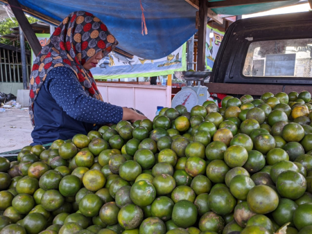JUAL BUAH JERUK