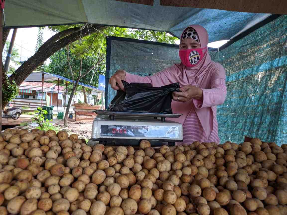  JUAL BUAH LANGSAT