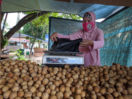  JUAL BUAH LANGSAT