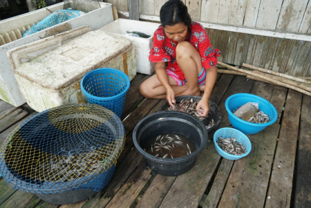 BERSIHKAN IKAN SELUANG