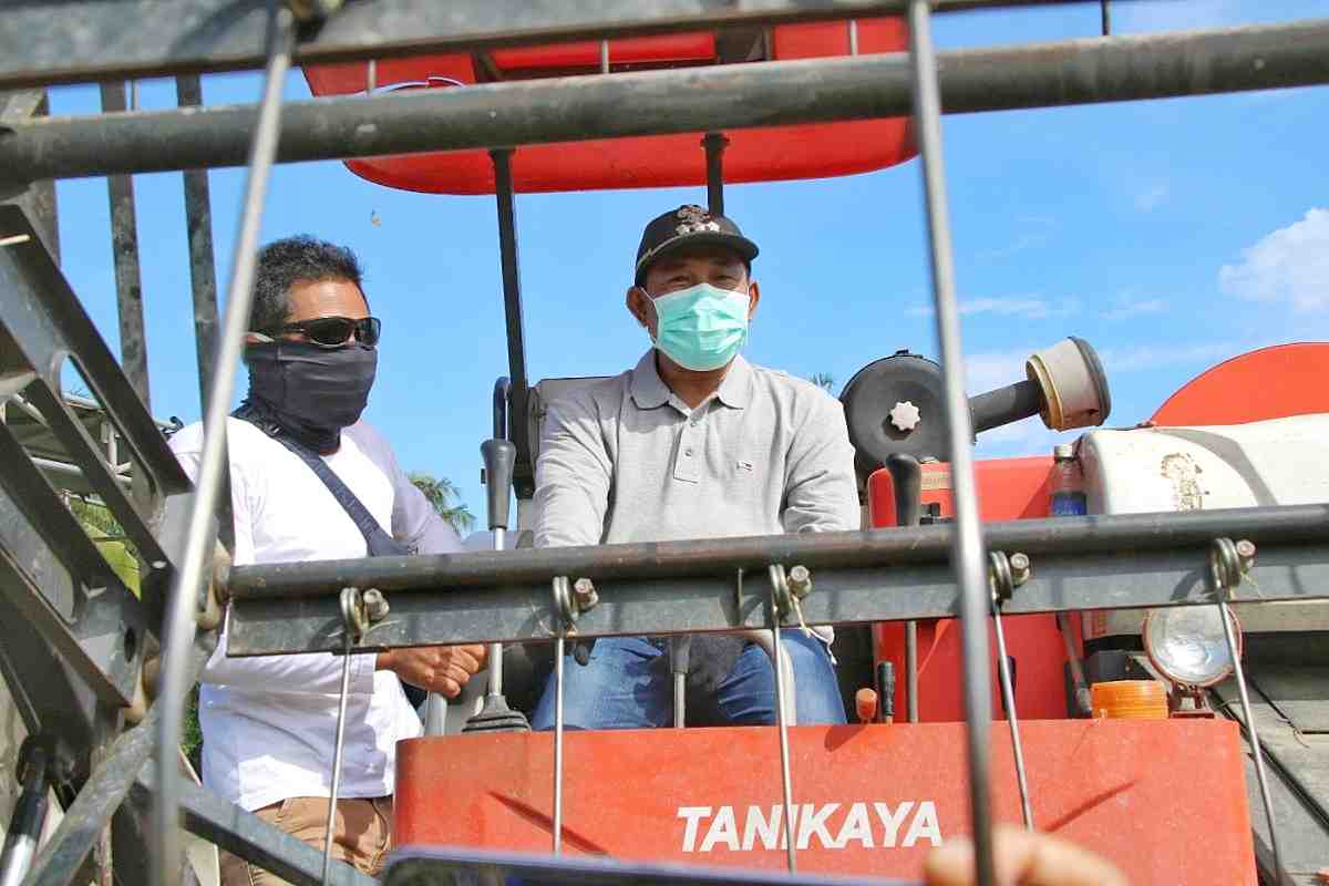 SUMBAWA BARAT BUTUH TAMBAHAN MESIN PANEN