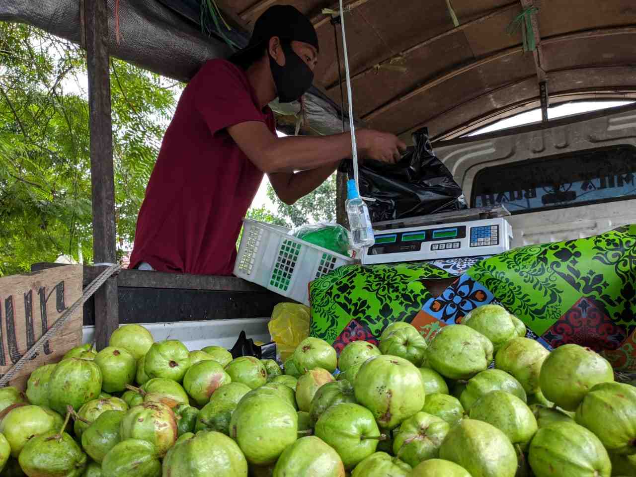 JUAL JAMBU KRISTAL