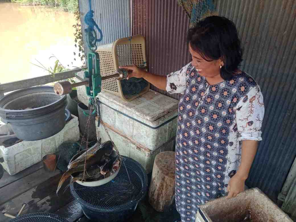 TIMBANG IKAN BAUNG