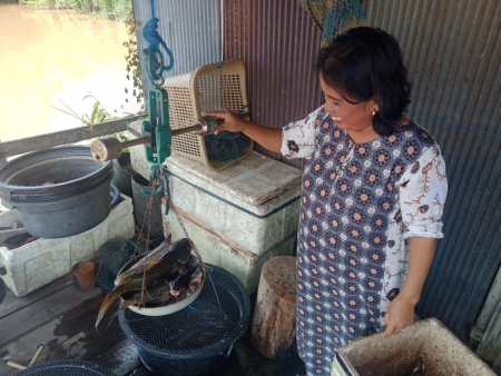 TIMBANG IKAN BAUNG
