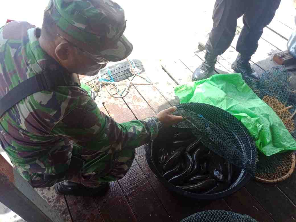IKAN HARUAN