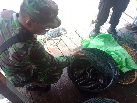 IKAN HARUAN