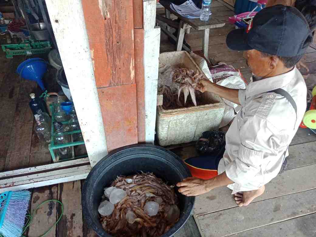 PENJUAL IKAN LAIS