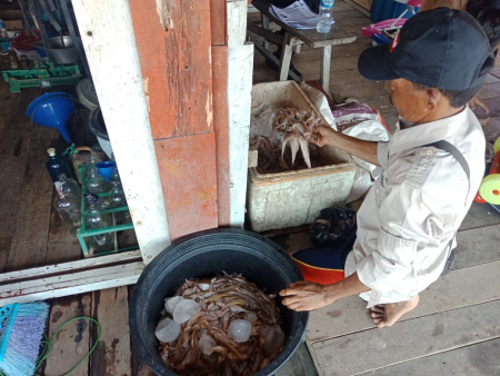 PENJUAL IKAN LAIS