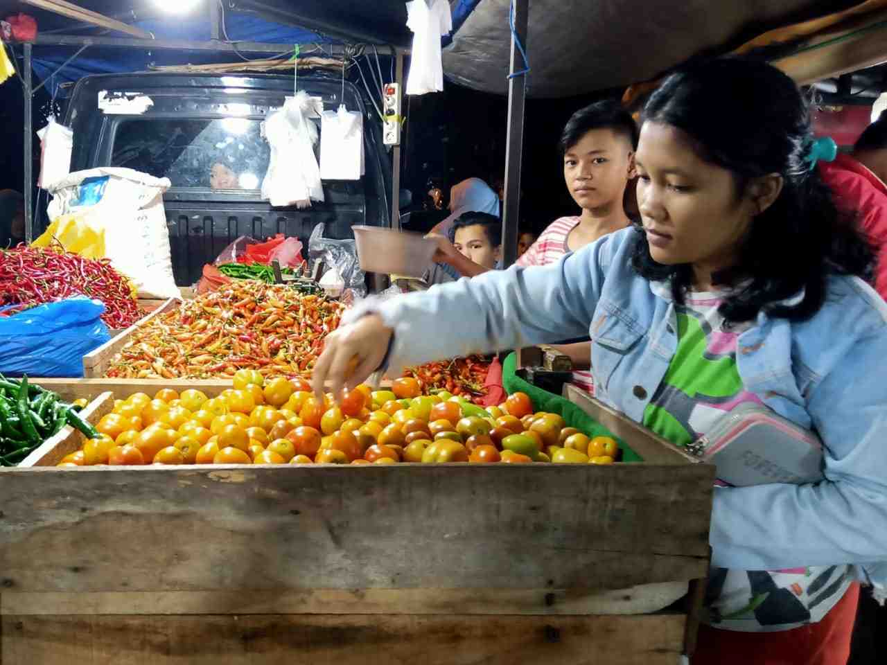 PILIH BUAH TOMAT