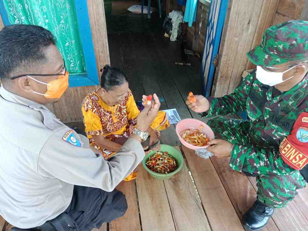 KULAT SIAU