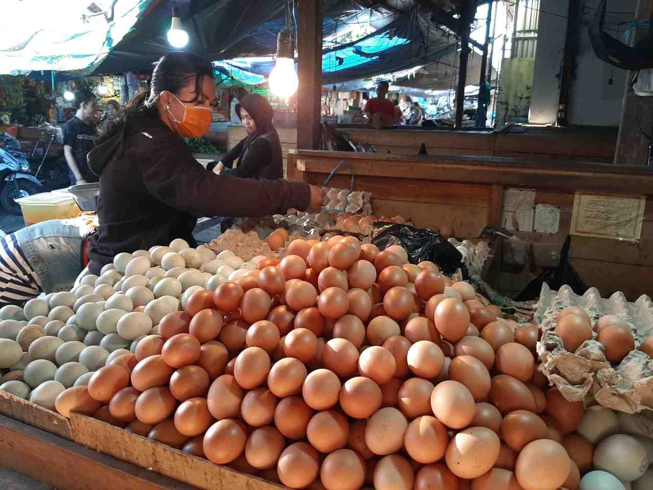 MEMILIH TELOR