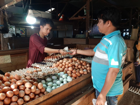 PENJUALAN TELUR MENGALAMI PENURUNAN