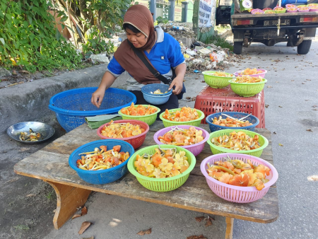 JUAL KULAT SIAU