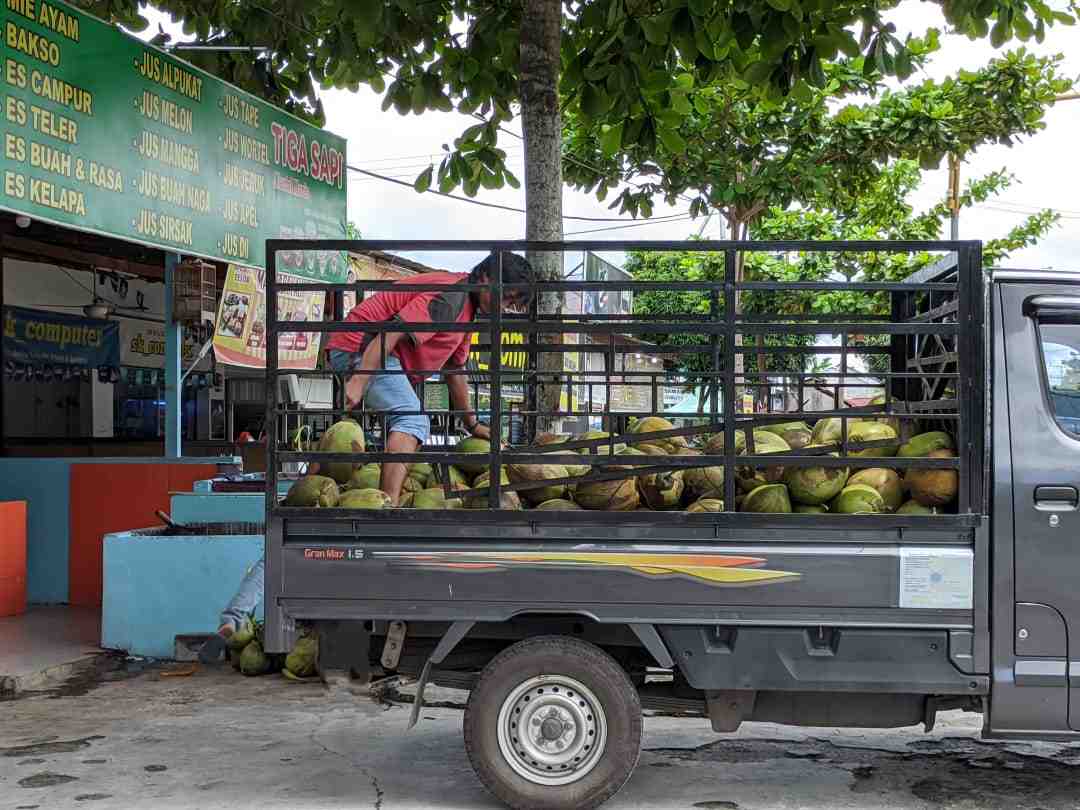 PERMINTAAN BUAH KELAPA MENINGKAT