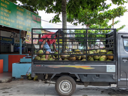 PERMINTAAN BUAH KELAPA MENINGKAT