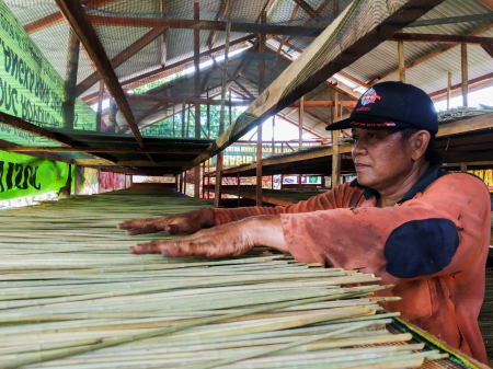 MENYUSUN BAHAN BAKU SEDOTAN PURUN DANAU