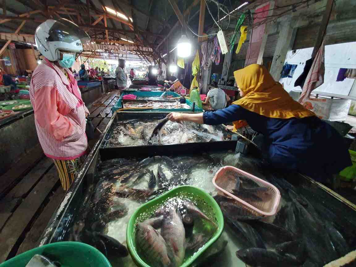 BELI IKAN SUNGAI di PASAR ITAH