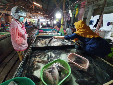 BELI IKAN SUNGAI di PASAR ITAH