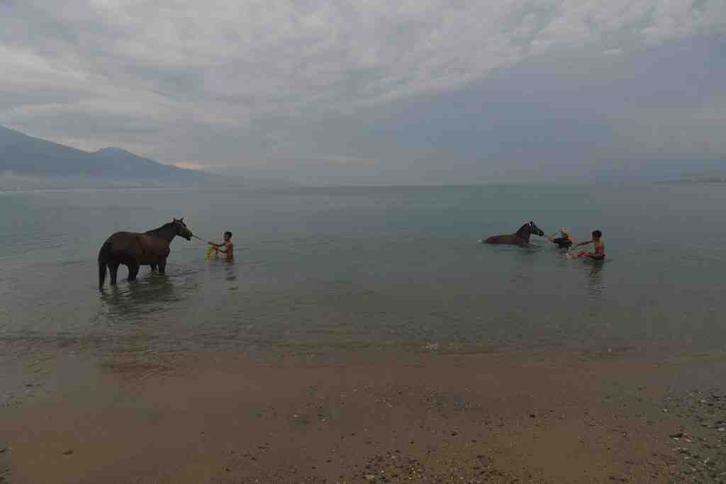 MELATIH KUDA PACU DI PANTAI TALISE
