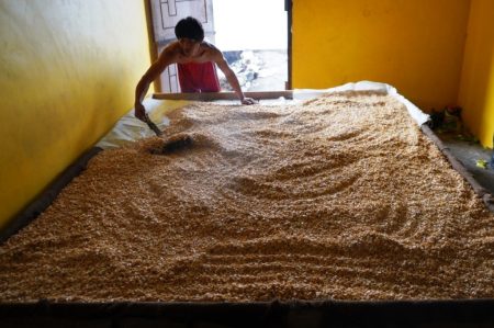 PROSES PERAGIAN BIJI KEDELAI