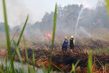 PADAMKAN KARHUTLA DI TANAH LAUT