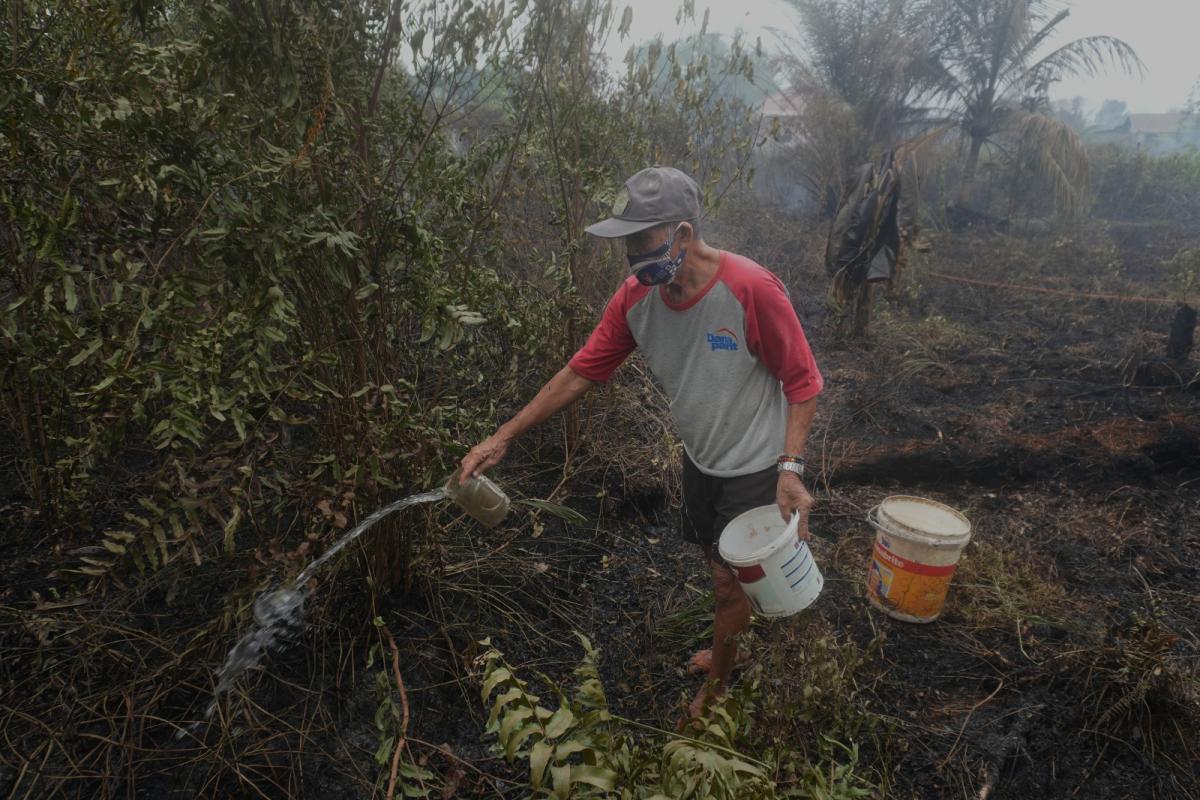 DINGINKAN LAHAN GAMBUT TERBAKAR