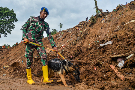 PENCARIAN KORBAN LONGSOR DENGAN ANJING PELACAK