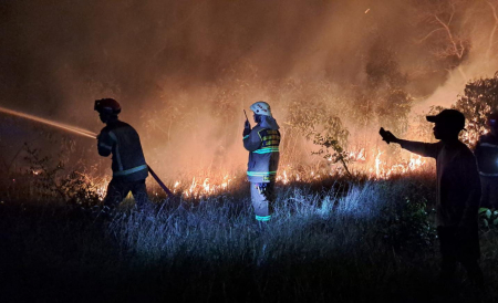 DUA HEKTARE LAHAN GAMBUT TERBAKAR