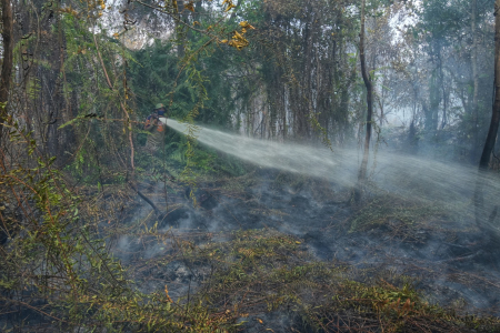 PADAMKAN LAHAN TERBAKAR