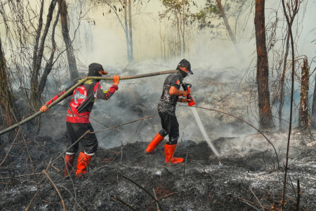 PENDINGINAN LAHAN GAMBUT TERBAKAR