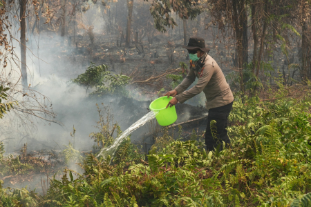 PADAMKAN KEBAKARAN LAHAN